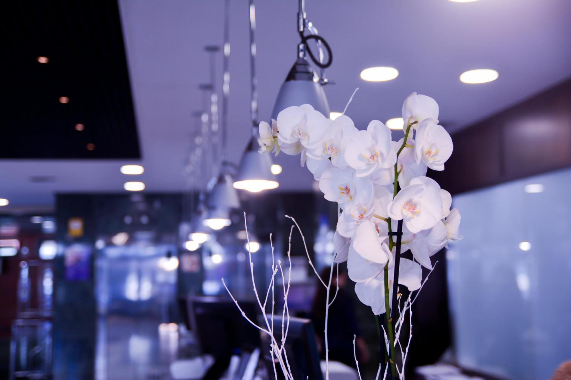 Sercotel Amistad Hotel